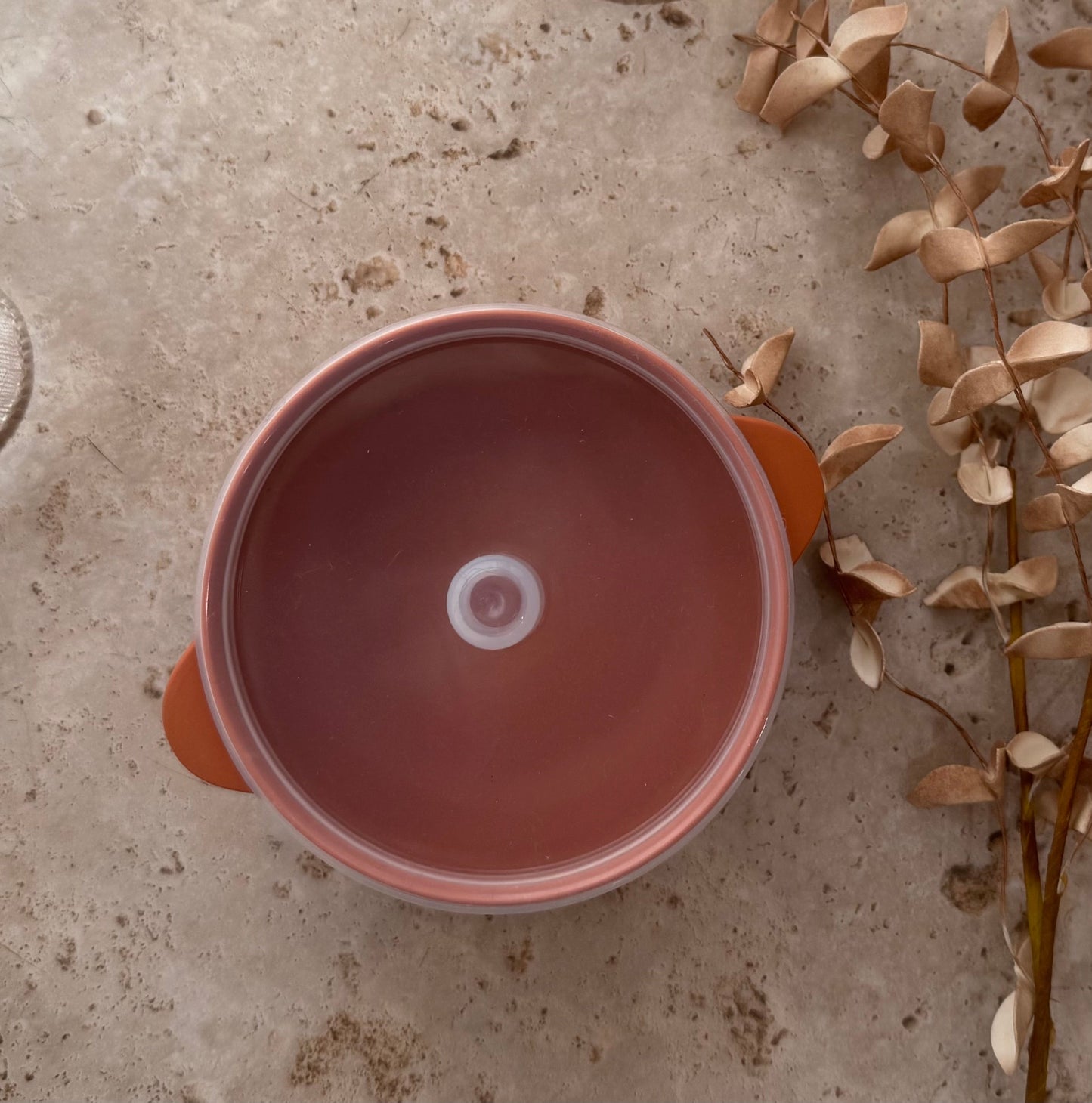 🎁 Silicone Travel Bowl - BPA Free (100% off)
